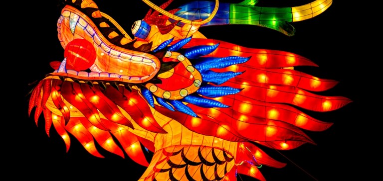 dragon_portrait_chinalights_(2)_1200_570_c1.jpg